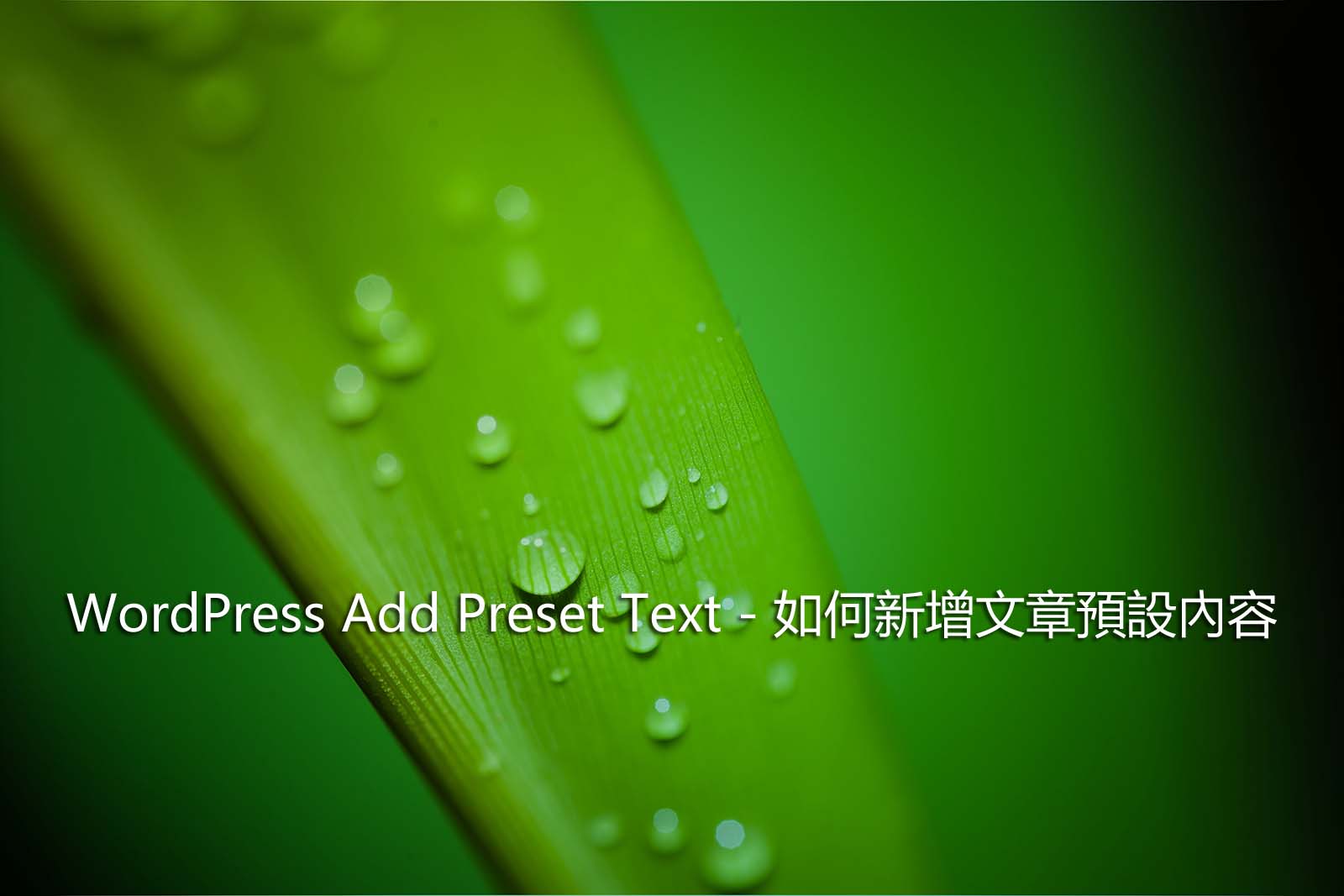 WordPress Add Preset Text – 如何新增文章預設內容