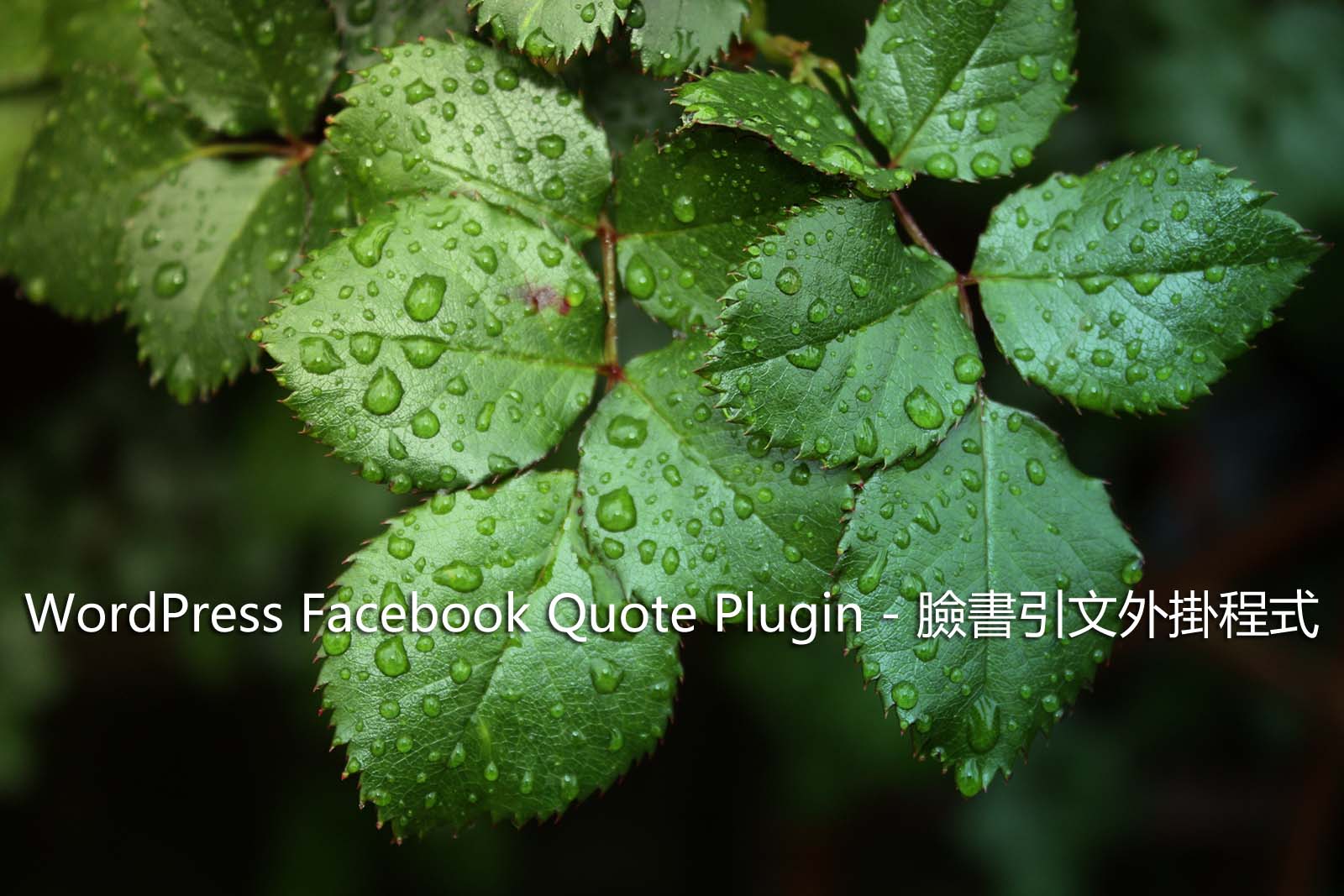 WordPress Facebook Quote Plugin – 臉書引文外掛程式