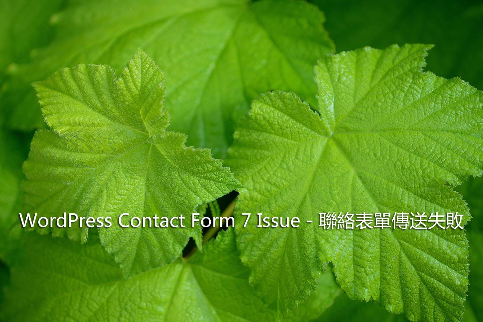 WordPress Contact Form 7 Issue – 聯絡表單傳送失敗