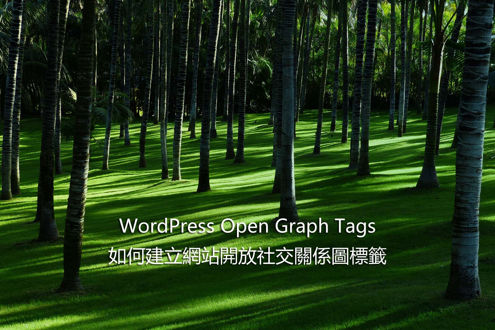 WordPress Open Graph Tags – 開放社交關係圖標籤