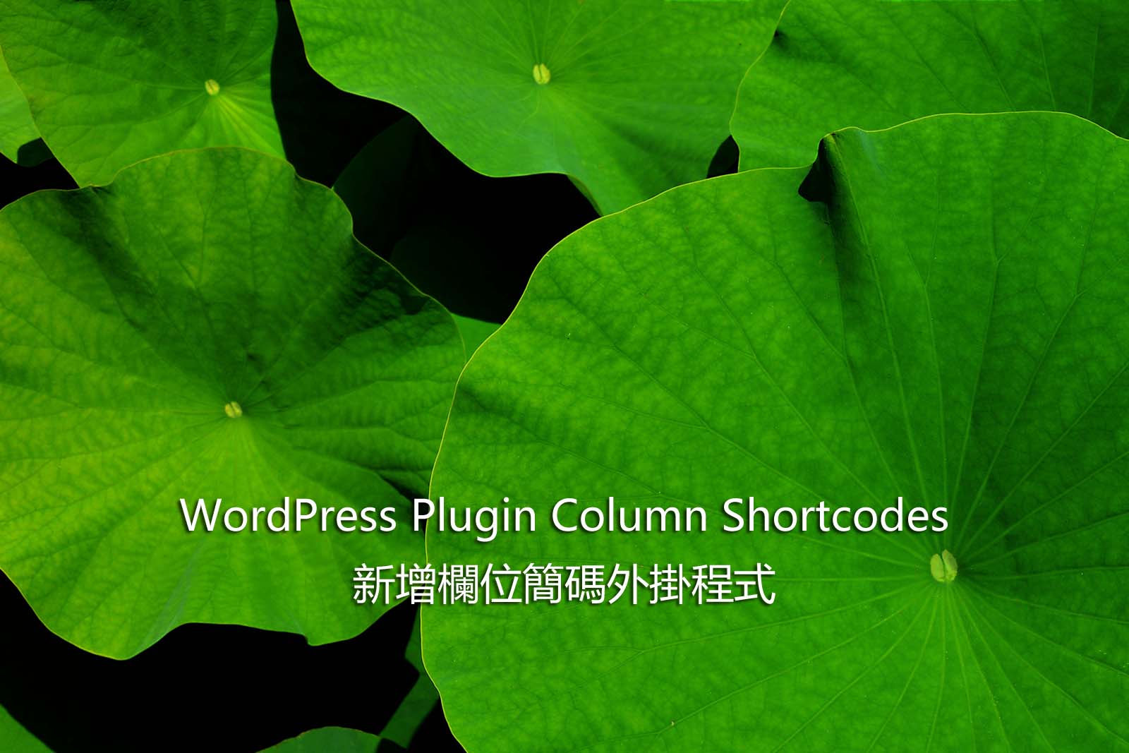 WordPress Plugin Column Shortcodes – 新增欄位簡碼外掛程式