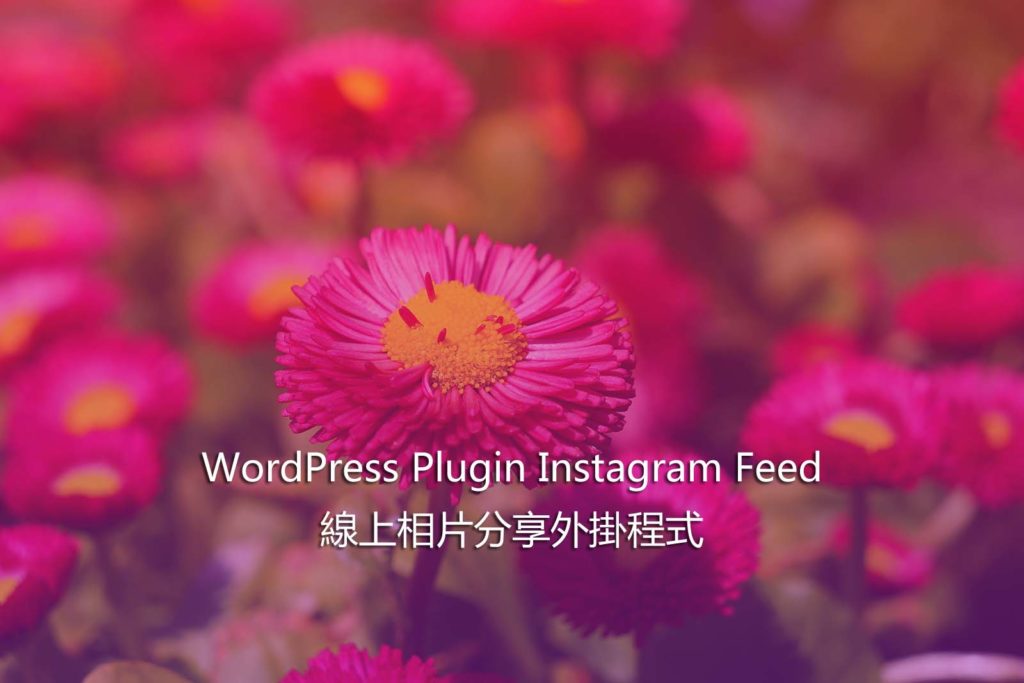 WordPress Plugin Instagram Feed