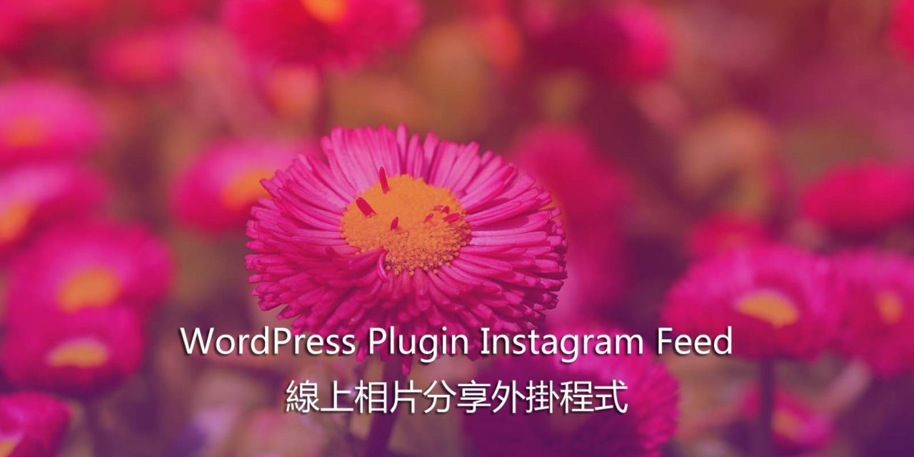 WordPress Plugin Instagram Feed – 線上相片分享外掛程式