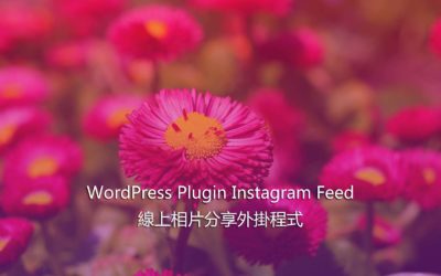 WordPress Plugin Instagram Feed – 線上相片分享外掛程式