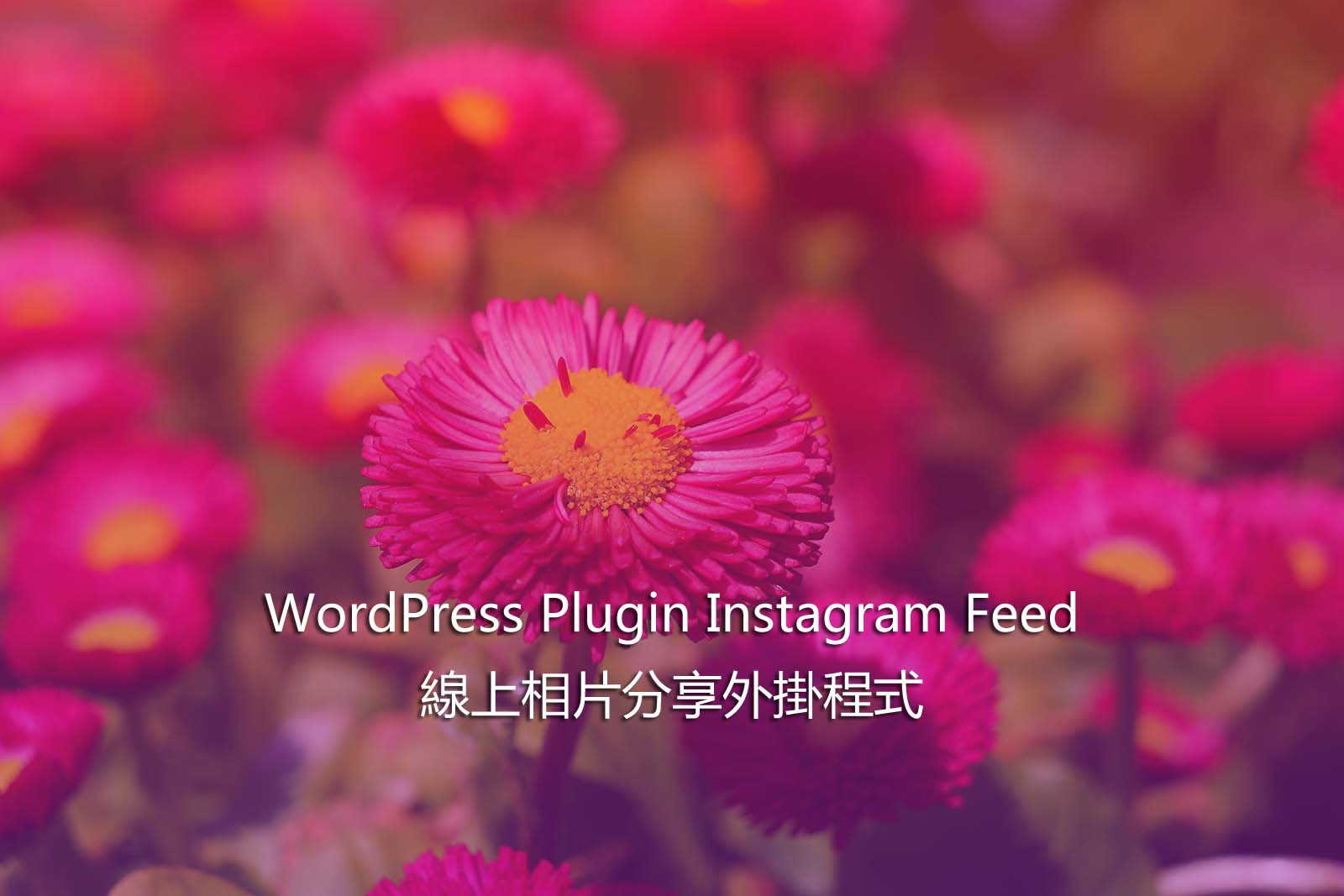 WordPress Plugin Instagram Feed – 線上相片分享外掛程式