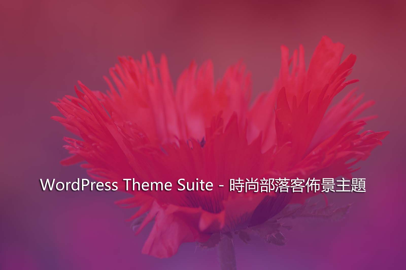 WordPress Theme Suite – 時尚部落客佈景主題
