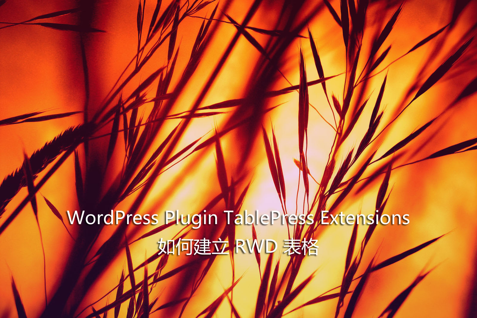 WordPress Plugin TablePress Extensions – 如何建立 RWD 表格