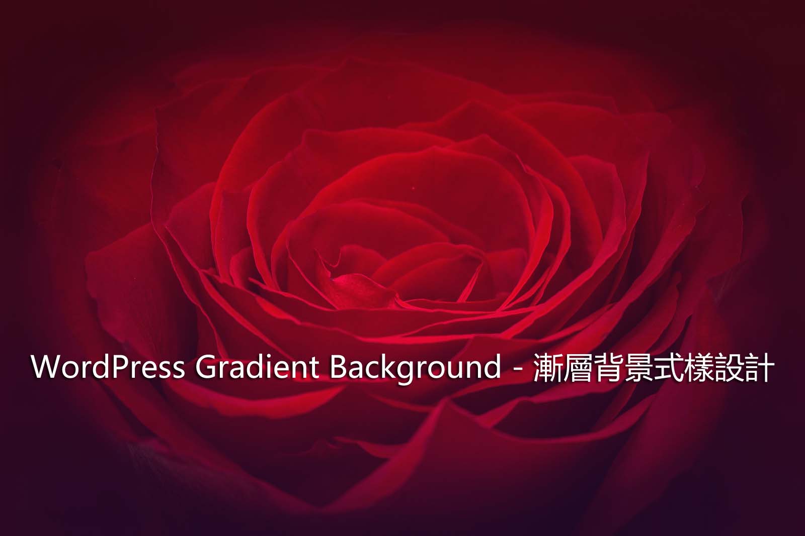 WordPress Gradient Background – 漸層背景式樣設計