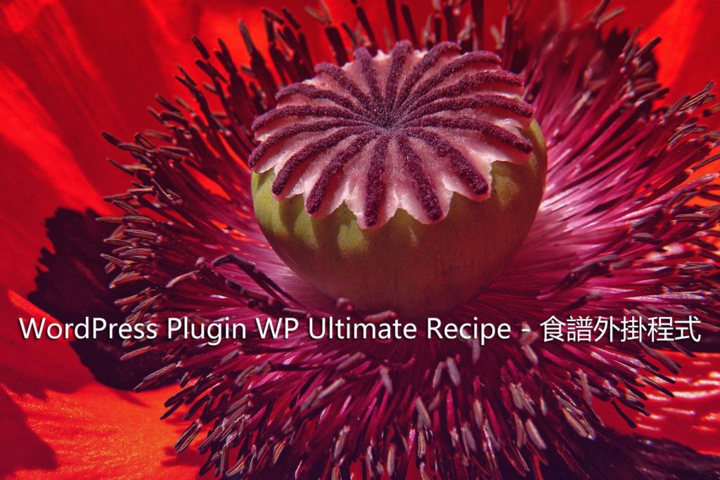 WordPress Plugin WP Ultimate Recipe