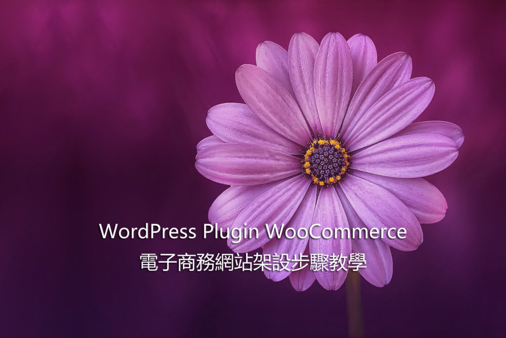 WordPress Plugin WooCommerce