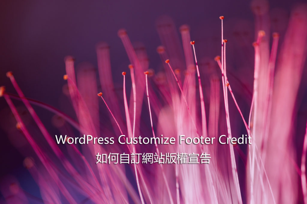 WordPress Customize Footer Credit