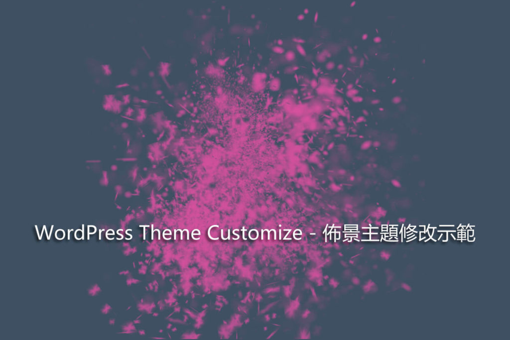 WordPress Theme Customize