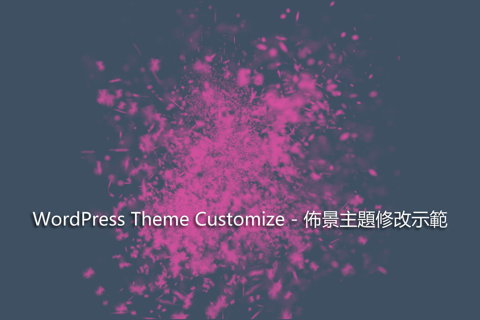 WordPress Theme Customize