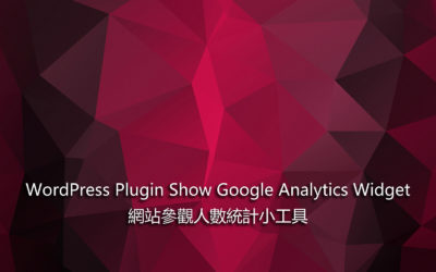 WordPress Plugin Show Google Analytics Widget