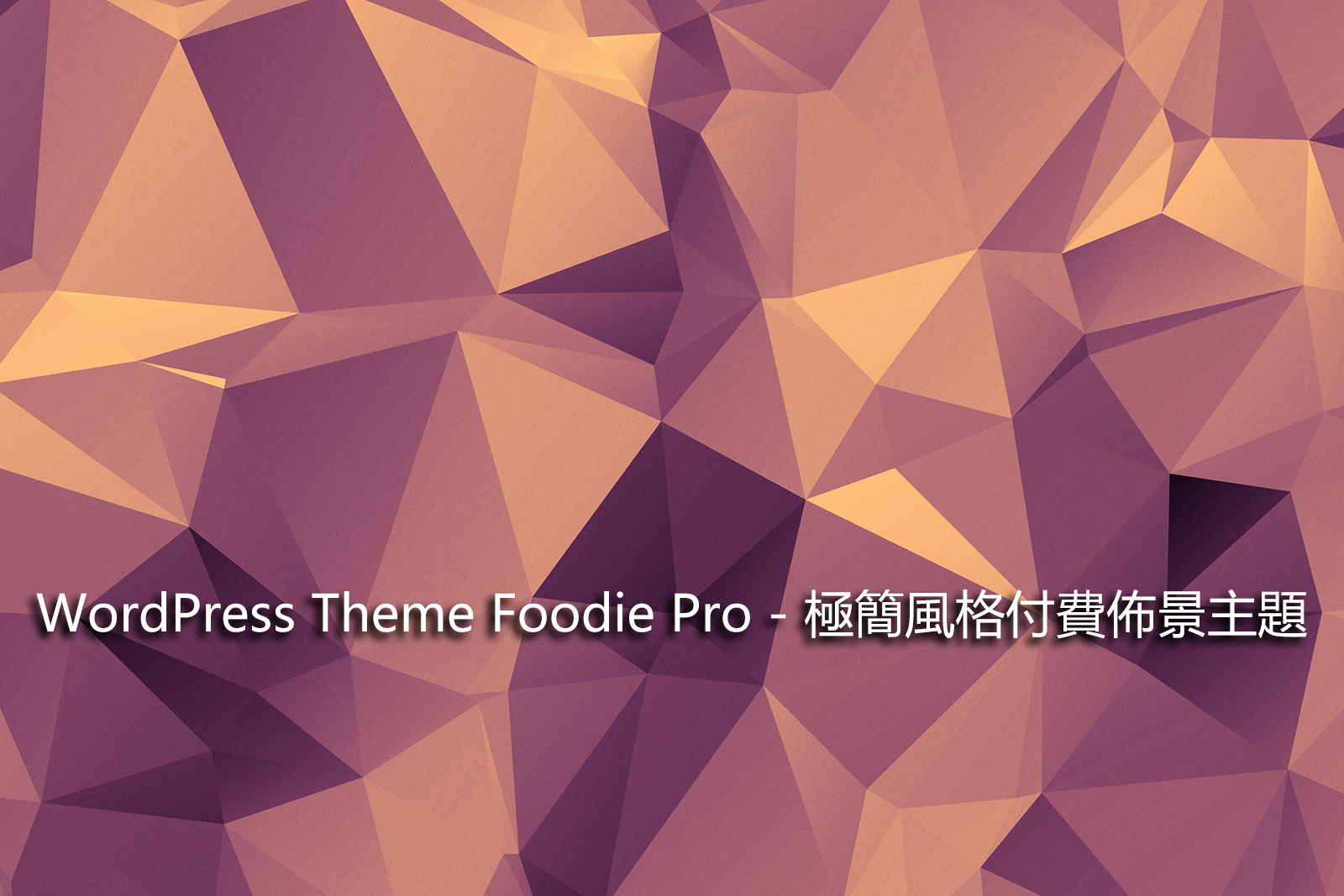WordPress Theme Foodie Pro – 極簡風格付費佈景主題