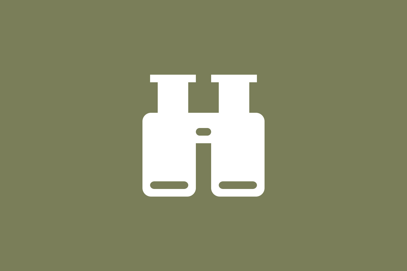 WordPress Website Security Scanner