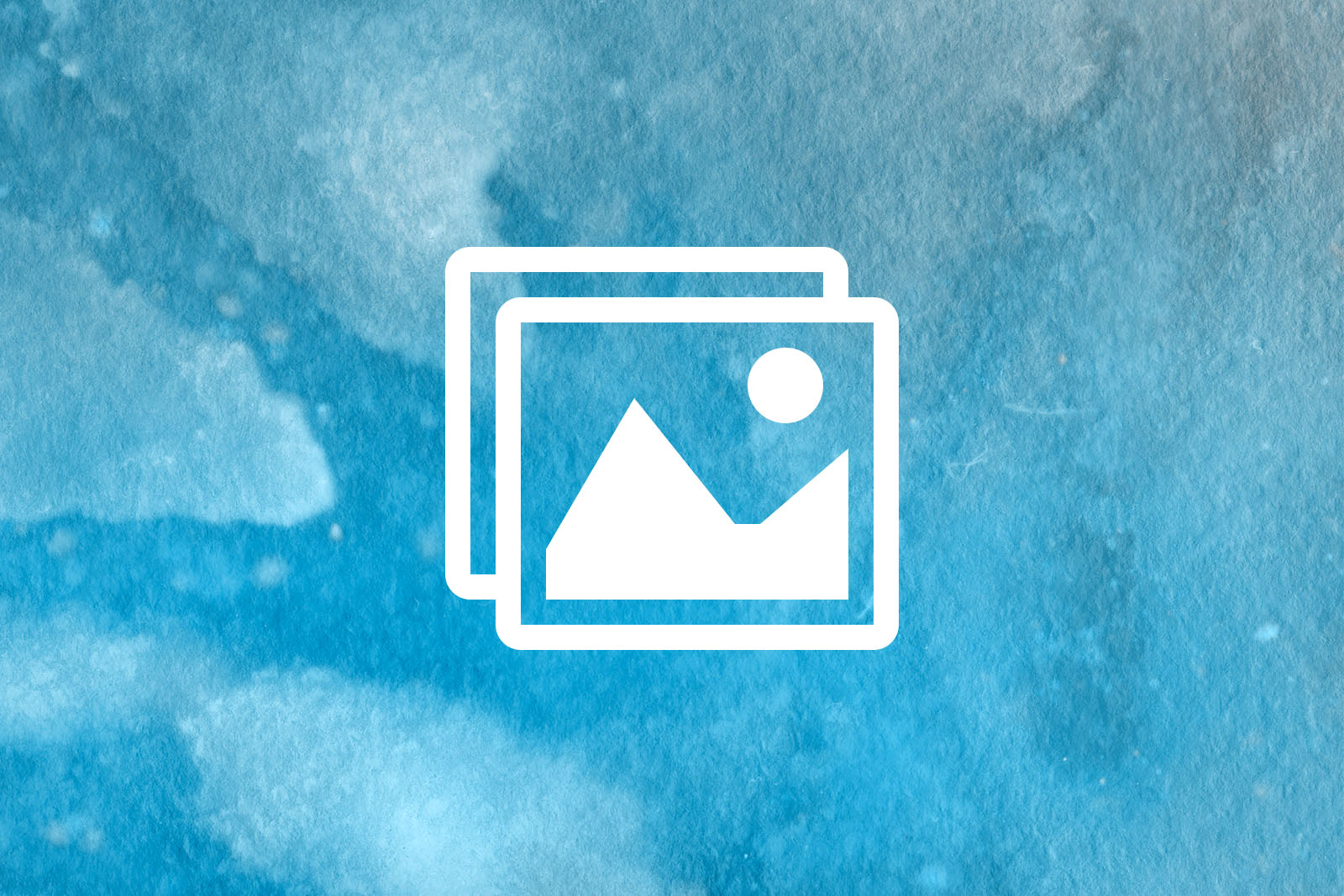 WordPress Plugin Modula Image Gallery – 相簿外掛程式